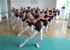 小白鸽舞蹈加盟实例图片