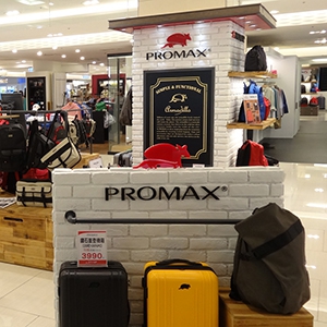 PROMAX加盟实例图片