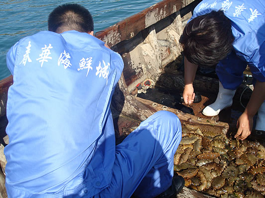 春華海鮮城加盟圖片