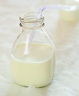 燕塘牛奶加盟条件