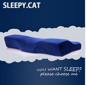 SLEEPYCAT记忆枕加盟实例图片