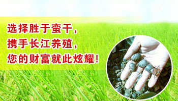 长江养殖加盟图片