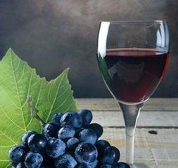 诗尼格葡萄酒加盟图片