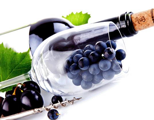 诗尼格葡萄酒加盟案例图片