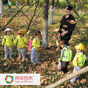 京化合木幼儿园加盟图片1