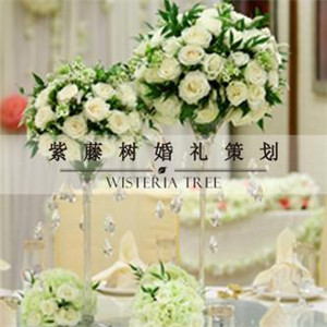 紫藤树婚礼策划加盟图片