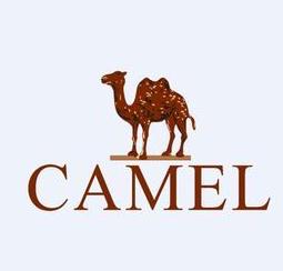  Camel women's shoes