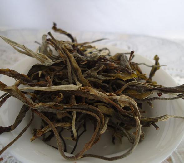 老曼峨普洱茶加盟图片
