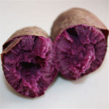 迷你紫薯加盟案例图片