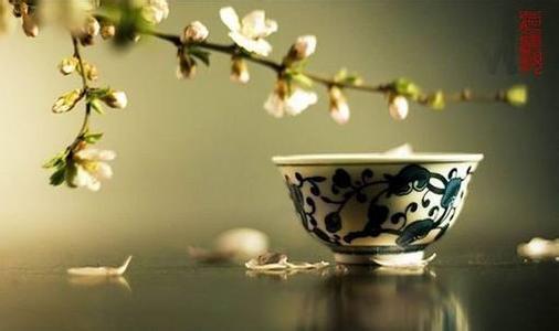 儒家茶业加盟图片