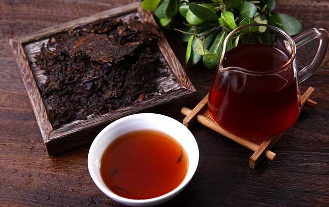 高黎贡山普洱茶加盟