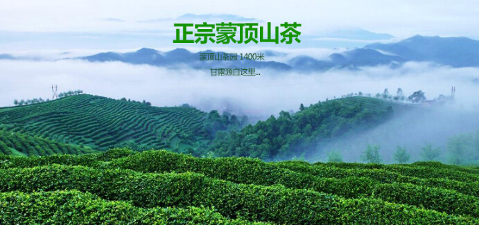 蒙顶山茶诚邀加盟