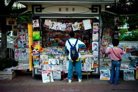 八个适宜在农村争取进一步拓展市场的项目