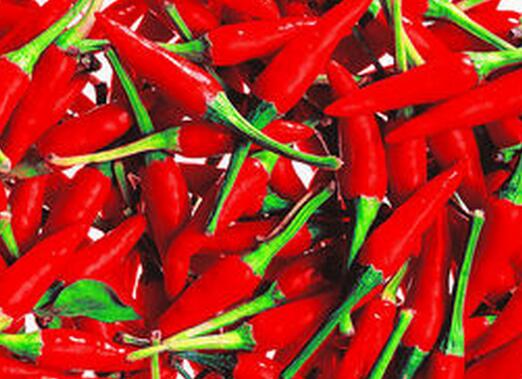 辣椒食品加盟图片3