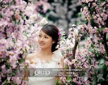 诺江婚纱摄影加盟实例图片