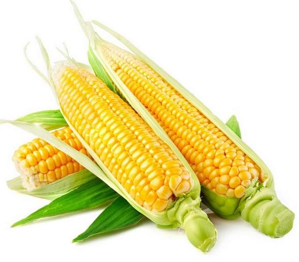 水果玉米加盟图片