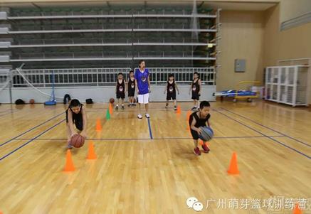 萌芽篮球训练营加盟案例图片
