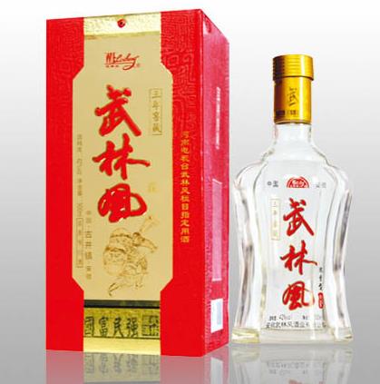 武林風(fēng)酒店面效果圖