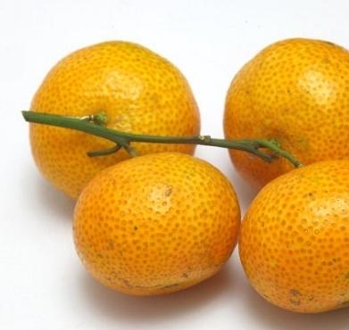 爱昕砂糖橘加盟实例图片