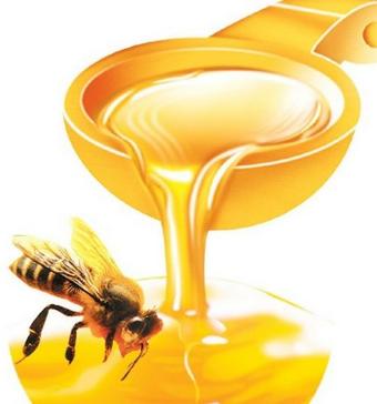 阿东蜂蜜加盟图片