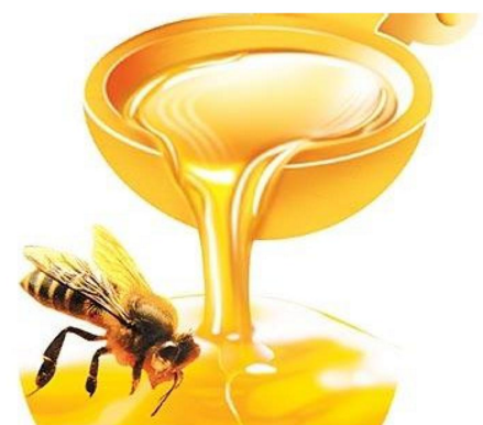 谷林蜂蜜加盟图片