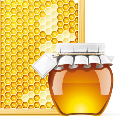 贺尔康蜂蜜加盟图片