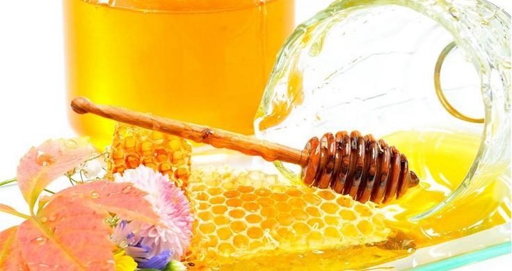 鹿角蜂蜂蜜加盟