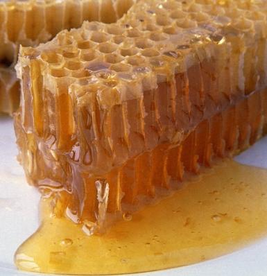 鹿角蜂蜂蜜加盟实例图片