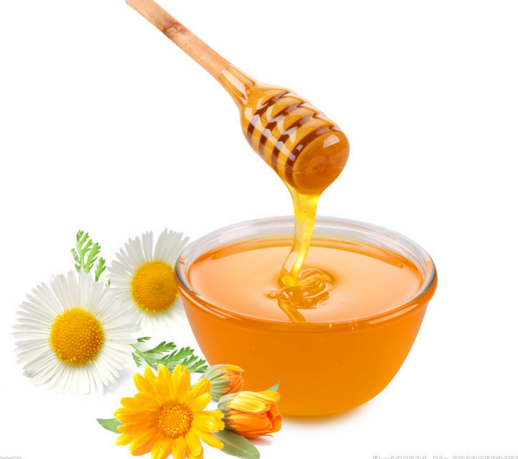 金树蜂蜜加盟案例图片