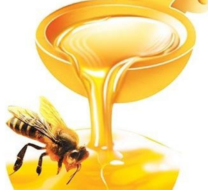 金永鹏蜂蜜加盟实例图片