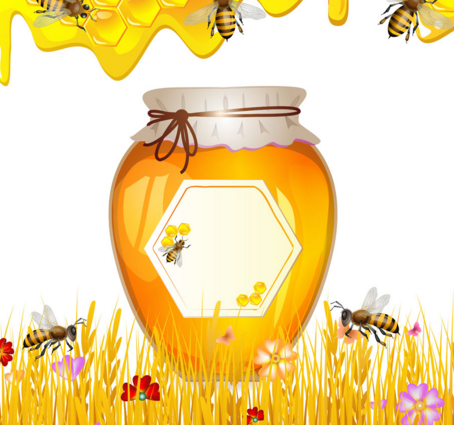 金蜜香蜂蜜加盟实例图片