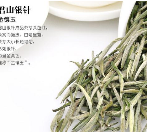 君山茶业加盟实例图片