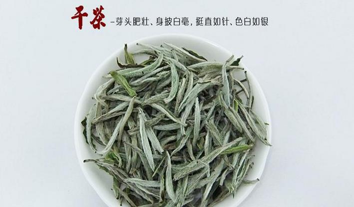 天健茶业加盟