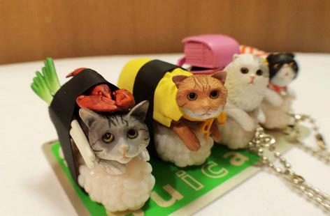 寿司猫加盟实例图片