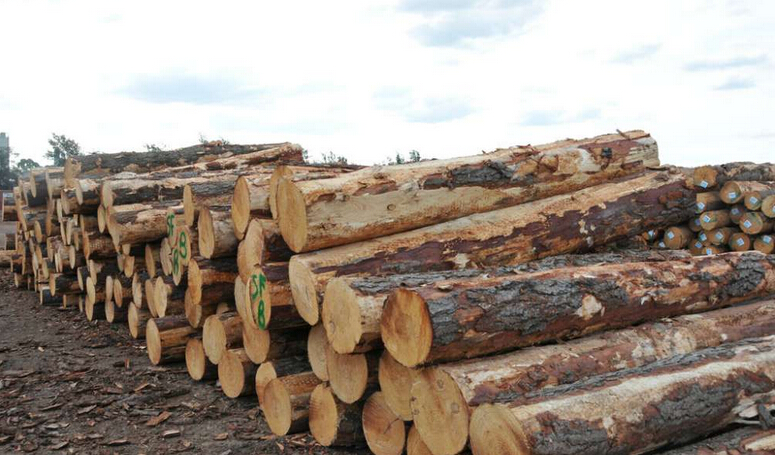 怎样做木材生意 为什么木材生意越来越难做