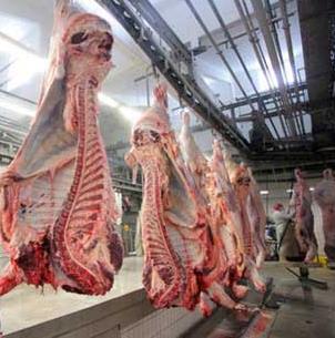 京联肉制品加工厂加盟实例图片