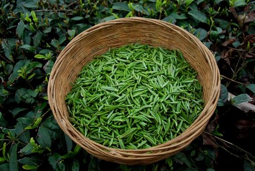 茶叶十大品牌排名