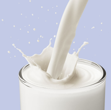 鲜奶加盟实例图片