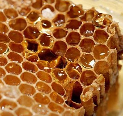 蜂蜜加盟图片