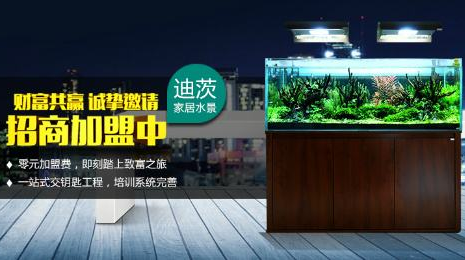 迪茨水族馆