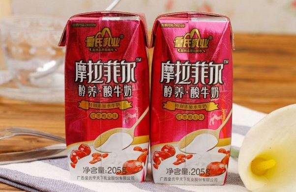 广西乳业加盟电话