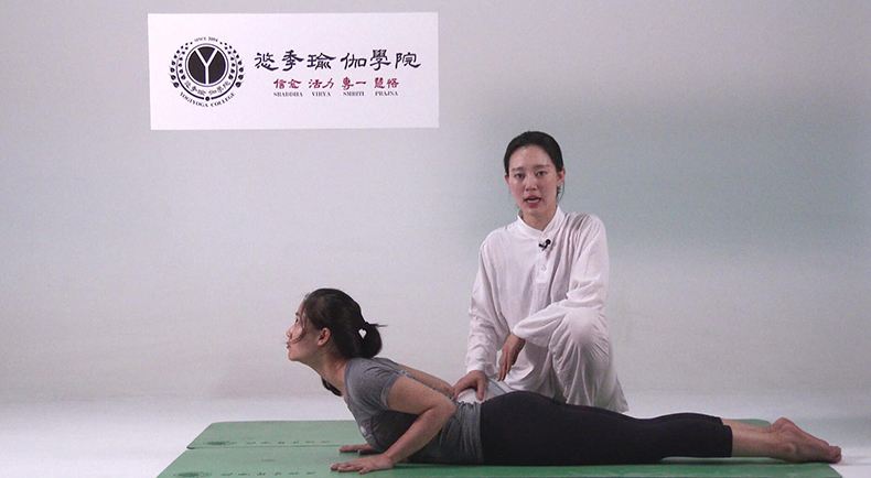 悠季瑜伽培训