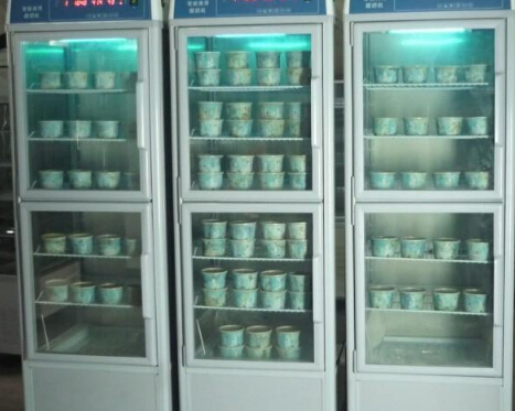 大型酸奶机多少钱一台