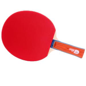 红双喜乒乓球拍加盟实例图片