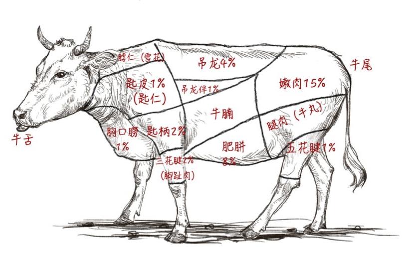 潮汕牛肉火锅加盟费多少钱