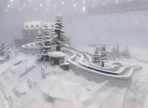 北极狐室内滑雪