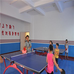 乒乓球教练培训加盟案例图片