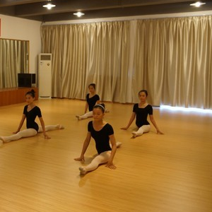 先艺音乐舞蹈培训加盟案例图片