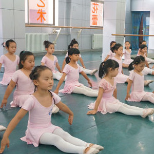 东方鹤舞蹈培训加盟实例图片