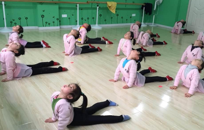 艺杨舞蹈培训加盟